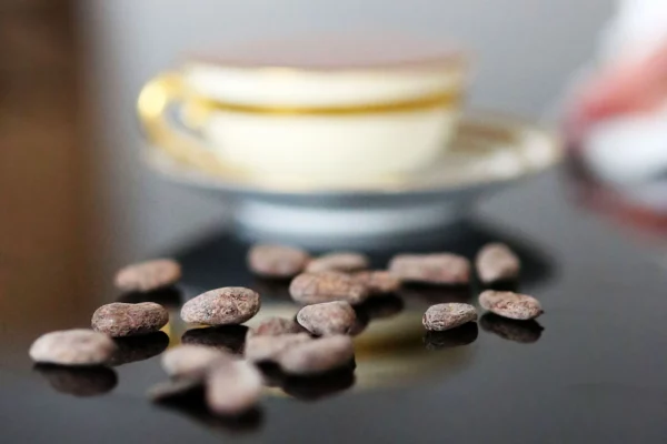 Cacao beans